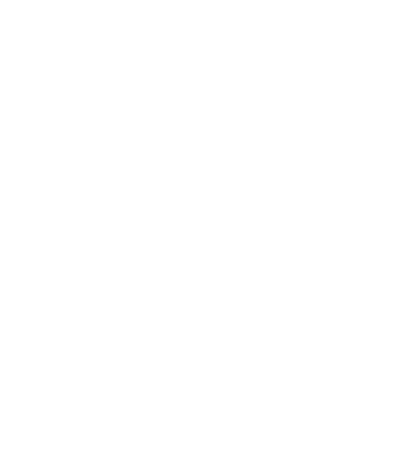iBridge
